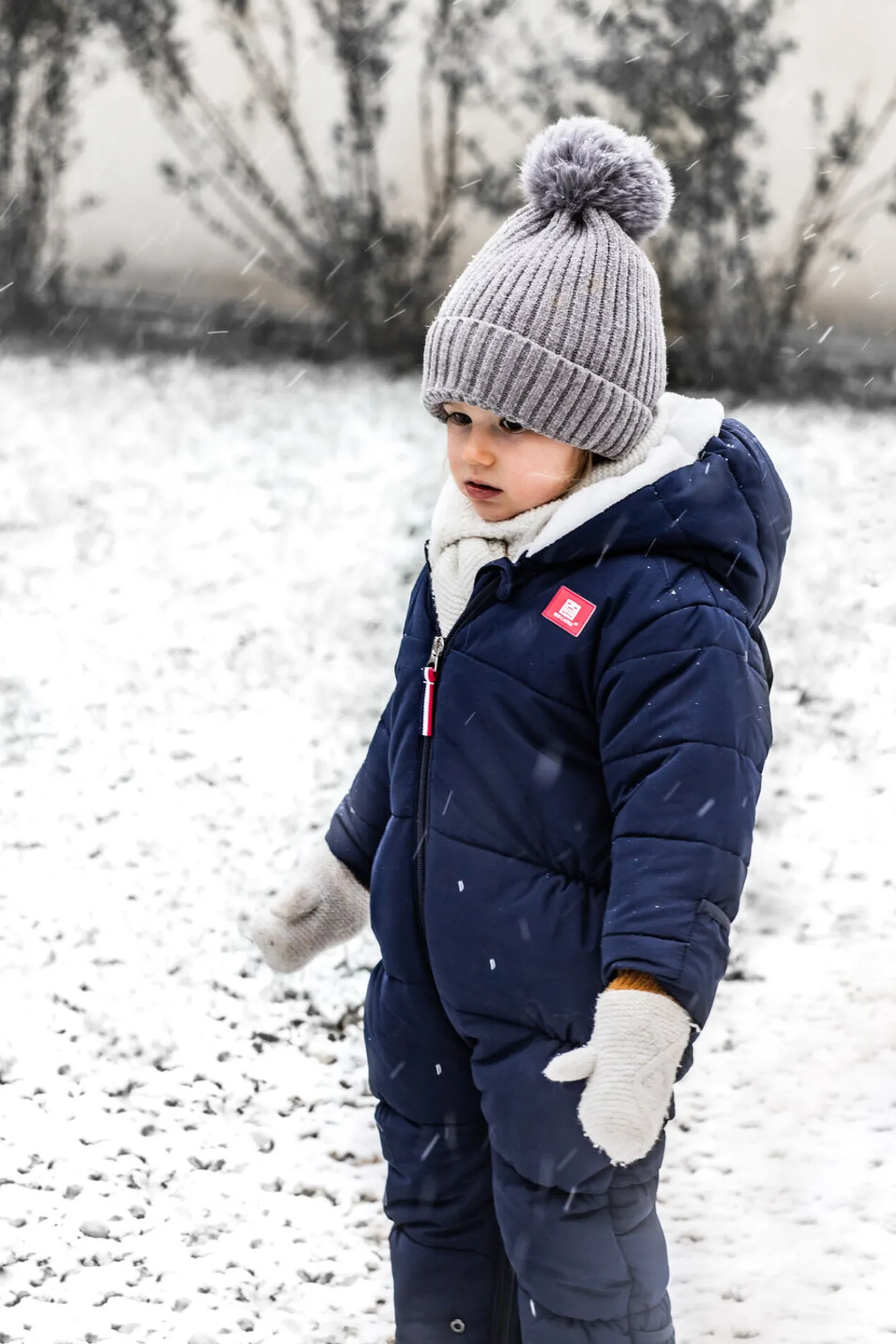 Combi C-Zip 12-24M Navy Blue*BÉABA New